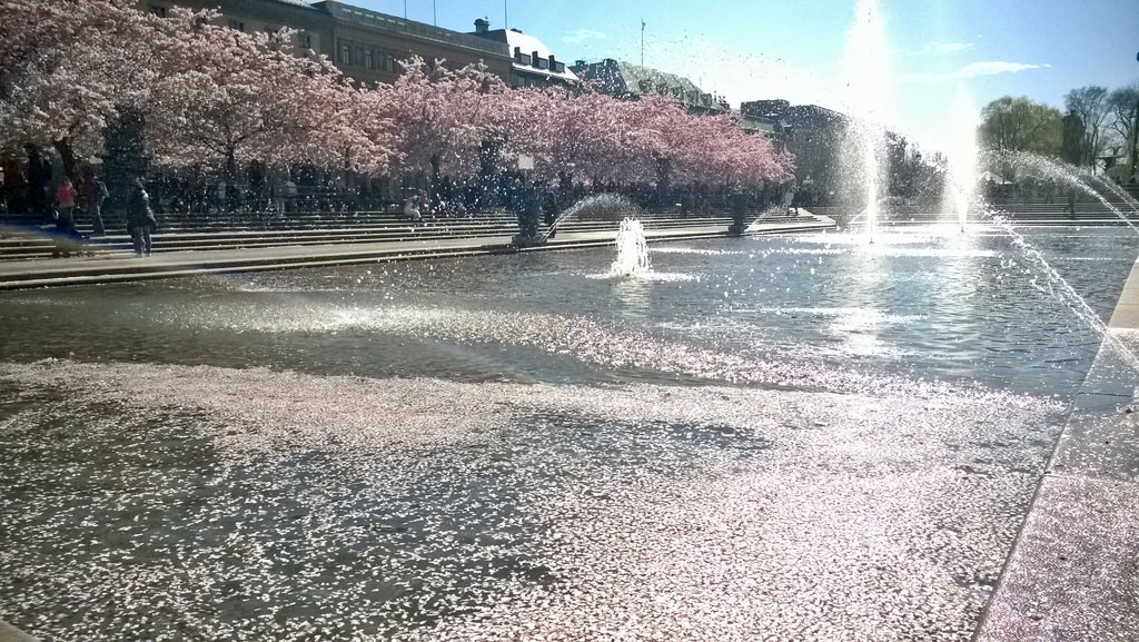 Tukholma 230415 (42)