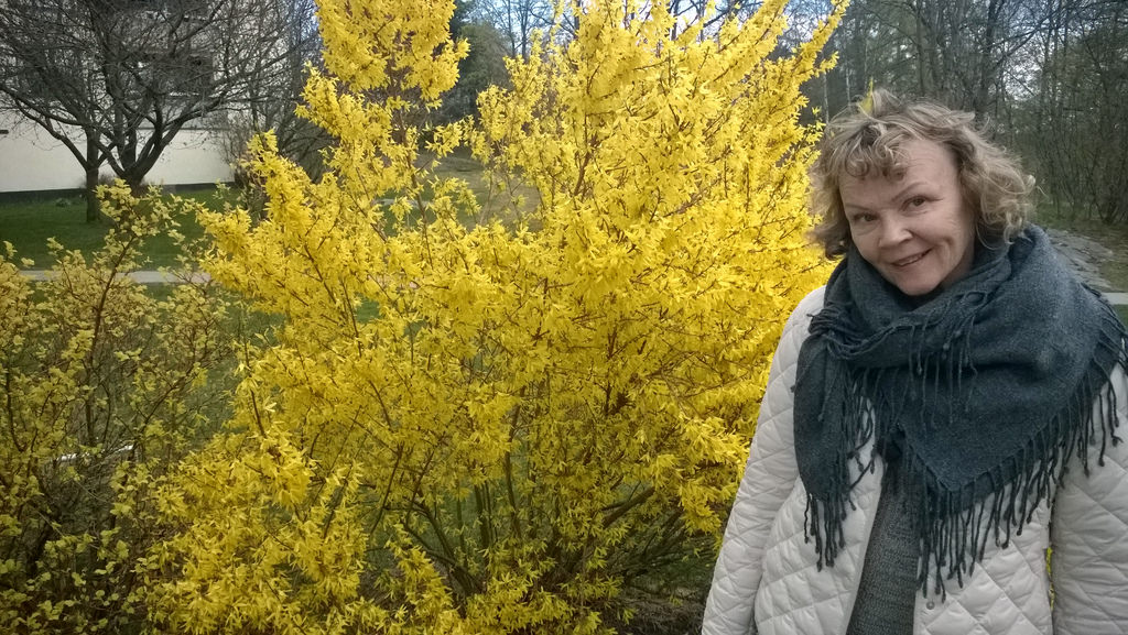 Tukholma 230415 (69)