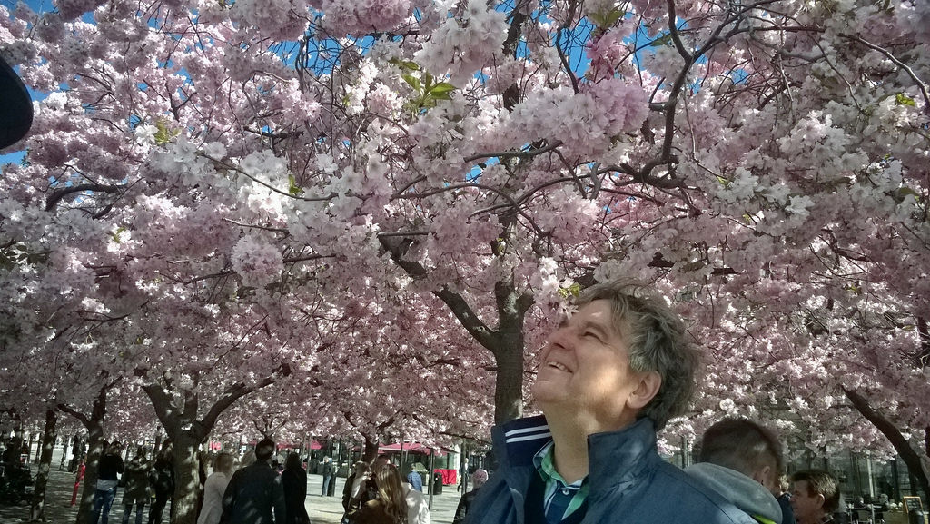 Tukholma 230415 (11)