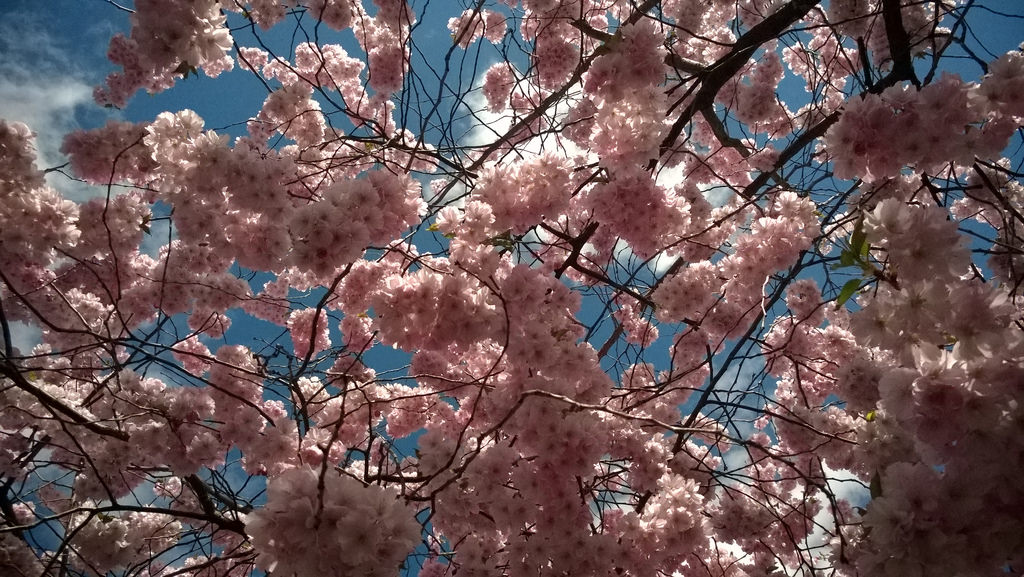 Tukholma 230415 (59)