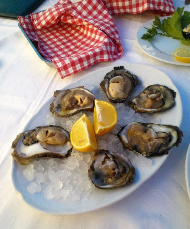 KROATIA – autoilu Dalmatian rannikolla on huippujuttu!