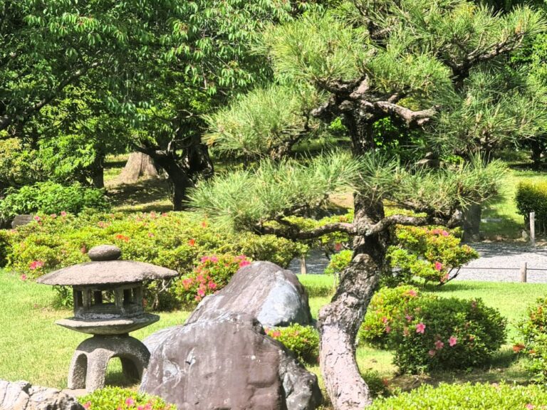 Katsaus Japanin parhaisiin nähtävyyksiin -TOP Japani